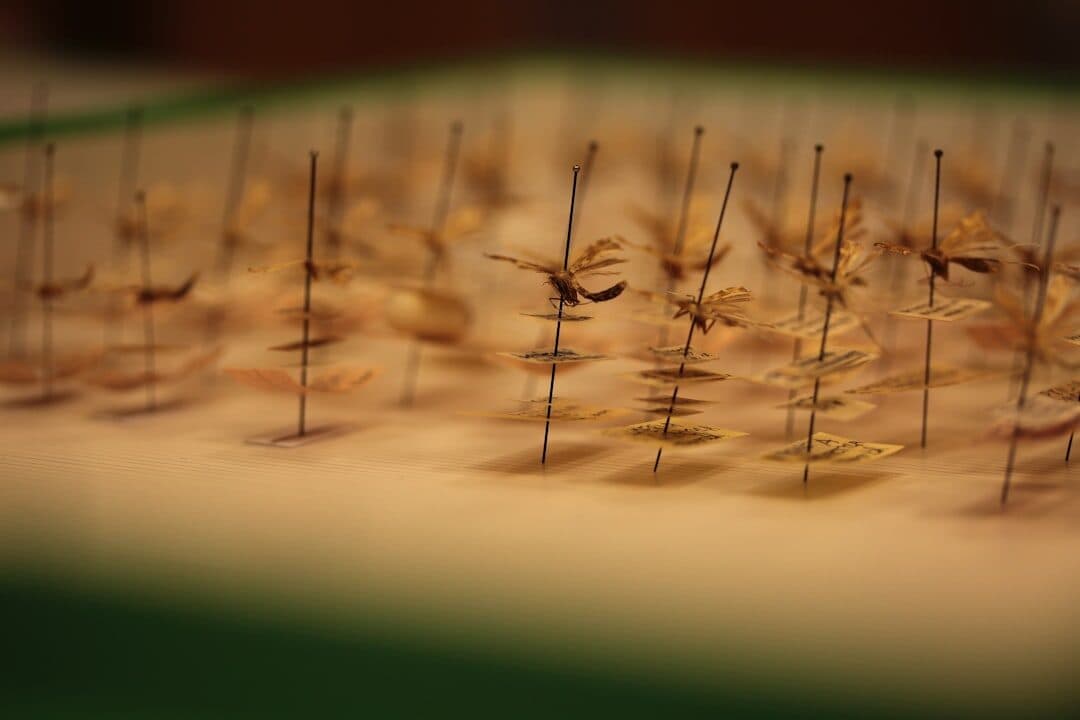 How Acupuncture Can Help With Chronic Pain | Alter Physio &amp; Acupuncture Amsterdam