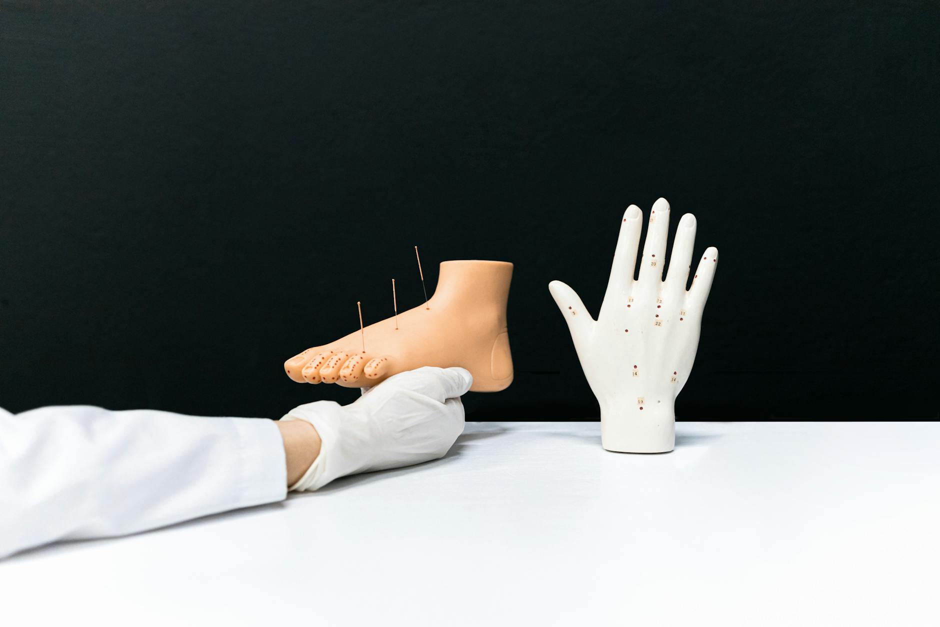 #6 The Impact of Autonomic Nervous System Imbalance on the Body and How to Address It