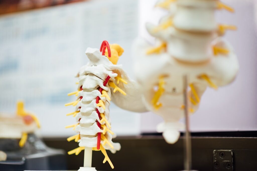 How Acupuncture Can Help With Chronic Pain | Alter Physio & Acupuncture Amsterdam