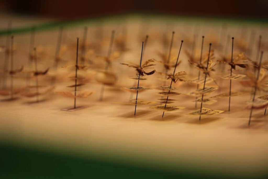 How Acupuncture Can Help With Chronic Pain | Alter Physio & Acupuncture Amsterdam